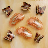 California Poppy Claw - Orange Acetate Flower Hair Clip