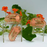 California Poppy Claw - Orange Acetate Flower Hair Clip