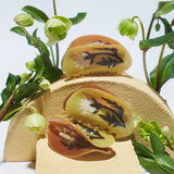 Rosehip Claw - Fall Colors Acetate Floral Hair Clip