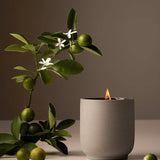 Homecourt's Signature Ceramic Candle