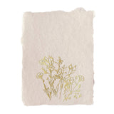 Golden Meadow Note Cards