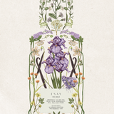 Iris Milk Fragrance