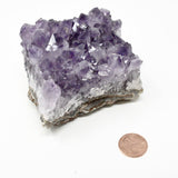 Amethyst Cluster